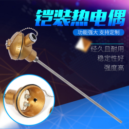 WZPK-131鎧裝熱電阻